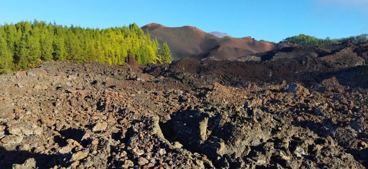 Casa Mo Tenerife ガラチコ エクステリア 写真